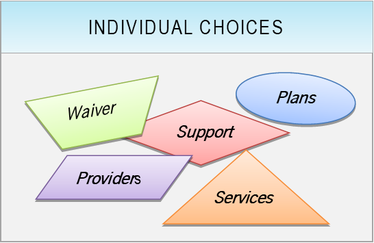 Individual Choices image